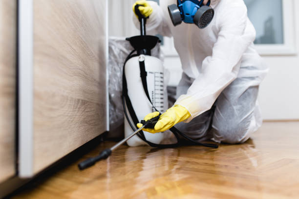 Best Pest Control for Businesses  in Homeland Park, SC