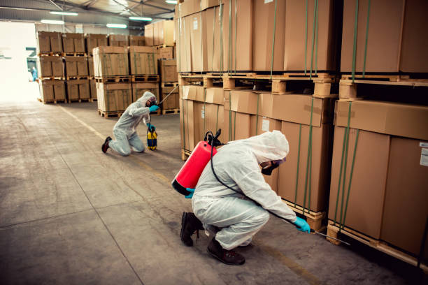 Best Mosquito Control Services  in Homeland Park, SC