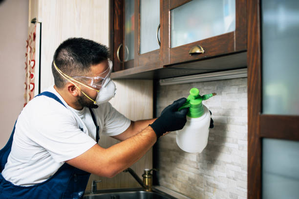 Best Termite Control Services  in Homeland Park, SC