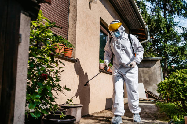 Best Best Pest Control Companies  in Homeland Park, SC