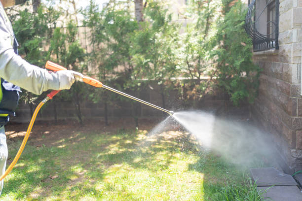 Best Flea Control Services  in Homeland Park, SC