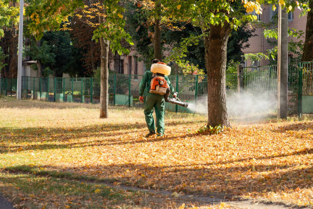 Best Pest Removal Services  in Homeland Park, SC